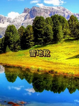 雪地靴女士2025新款秋冬季东北棉鞋加绒加厚舒适软底防滑防寒棉鞋