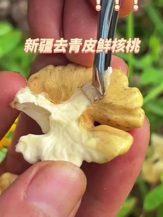 新疆去青皮鲜核桃#水果 #去青皮新鲜湿核桃 #零食推荐 #农产品 #去青皮核桃