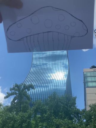 The world through my drawings