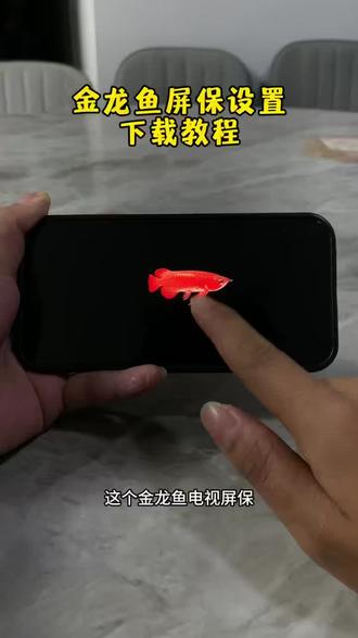 《阿乐爱笑》金龙鱼电视屏保获取教程来了,金龙鱼屏保#金龙鱼屏保 #金龙鱼屏保设置 #金龙鱼屏保设置教程 #金龙鱼屏保 #金龙鱼电视屏保