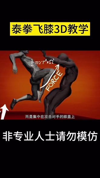 飞膝技术应用 #格斗教学