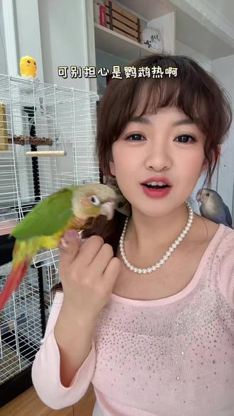 养鹦鹉会得鹦鹉热?概率非常低!!平时做好鸟笼的消毒杀菌,只要鸟儿不生病,这概率几乎是0!#小太阳鹦鹉 #养鸟经验分享
