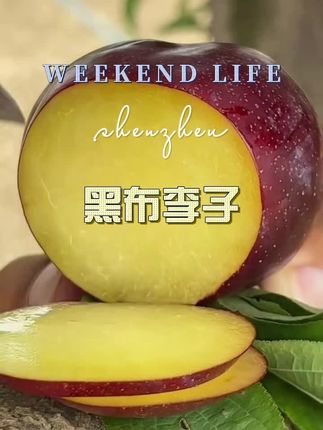 #黑布林 #黑布林李子 #黑布林甜不甜 #脆甜多汁 #好吃不贵