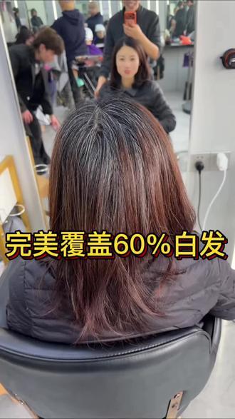 白头发多怎么啦,照样可以染个好看的颜色@内丘·小辫发型创作 #这是个真实的事情 #完美盖白发 #时尚盖白发