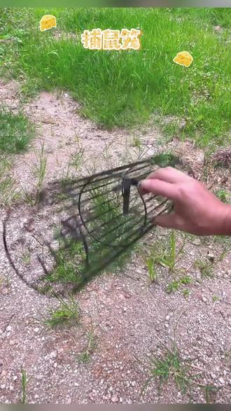 捕老鼠笼子地鼠笼野鼠笼捕鼠耗子笼自动捕鼠双门圆形铁鼠笼子 #捕鼠笼 #捕鼠工具 #老鼠笼 #自动捕鼠 #铁鼠笼