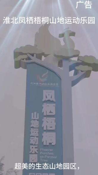 不用远行,就在淮北凤栖梧桐山地乐园,团购套餐超划算,休闲散心、释放压力刚刚好。#淮北凤栖梧桐山地运动乐园#鲁豫苏皖凤栖梧桐主题泳漂#来凤栖梧桐浇个朋友