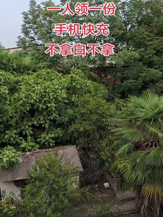 #充电线 #快充 #数据线 #充电器 #苹果数据线