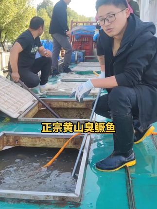 吃鱼就吃臭鳜鱼,徽菜名菜传承几百年,选择源头厂家更好