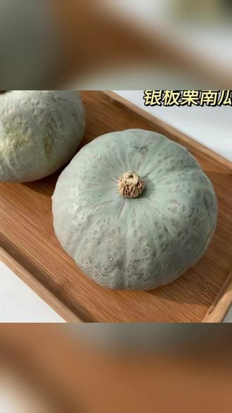 【L】银栗南瓜种子家庭阳台小院盆栽地栽四季种植 #银栗南瓜种子 #南瓜 #家庭阳台小院盆栽