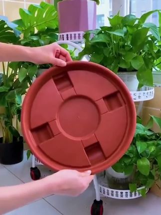 【抖音商城】加厚移动花盆托盘带轮花盘底座塑料花盆绿植盆栽接水托盘花盆底盘#移动花盆托盘#花盆托盘#花盆底座 #塑料花盆托盘#底座
