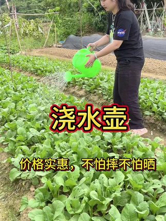 加厚洒水壶大浇花喷壶塑料浇水壶长嘴花洒壶园艺浇菜壶家用淋花壶#浇水神器 #浇水壶 #浇花喷壶 #在家种菜 #洒水壶