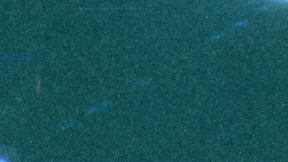 庆盛小学 一二年级飞鸟乐园研学