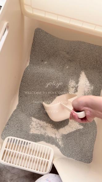 𐙚vlog|双猫家庭留守5天沉浸式准备工作#小猫留守 #沉浸式清洁 #养猫好物 #过年猫咪留守攻略 #猫咪留守