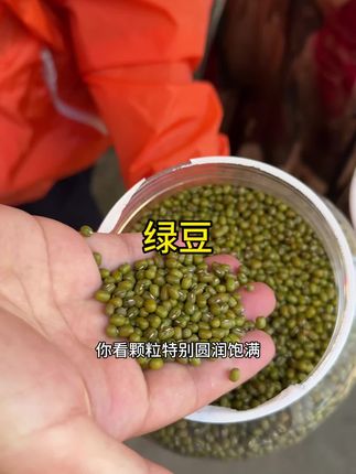 夏天煮个绿豆粥绿豆汤,它一煮就出沙,品质特别好#五谷杂粮 #粗粮 #夏日饮品 #农产品