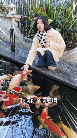 给我看看你最浑浊的缸吧!#新手养鱼 #好运锦鲤