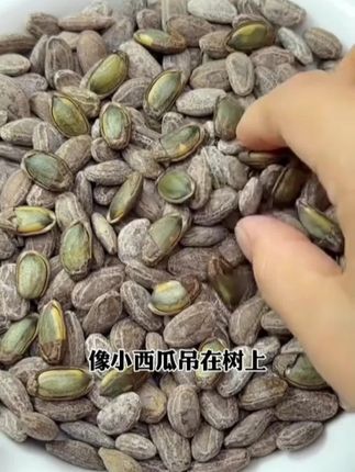 新货吊瓜子250g/500g奶油椒盐原味坚果炒货零食长兴特产非瓜蒌籽