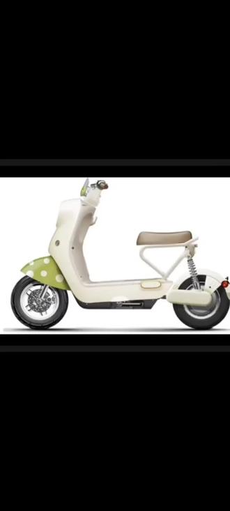 新国标电动自行车是谁提出来的?