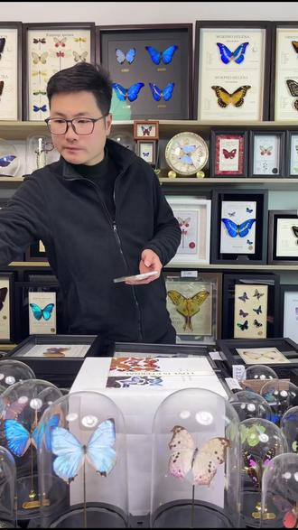 家居装饰新宠!爱神凤蝶标本画,自然之美触手可及!