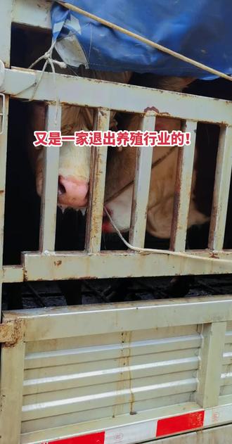 群搂又一家退出了!要出的赶紧!