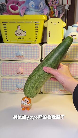 找到了!yoyo举起重物的最好办法! #YOYO又快乐了#喜欢这个小东西