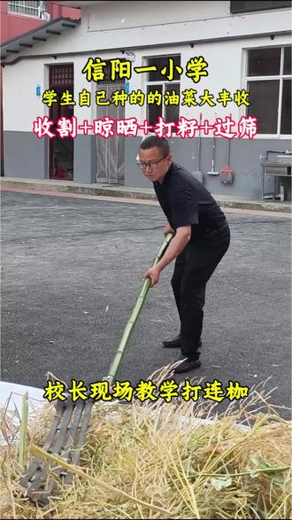 你见过打油菜籽吗?校长手把手教孩子们用传统农具连枷打油菜籽。这一起一落的动作里,藏着农耕智慧的传承,为劳动人民点赞。#劳动教育从小抓起 #劳动最光荣 @河南省教育厅