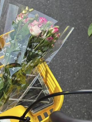 鮀品女鞋多巴胺泡芙鞋软底德训鞋2025夏季休闲百搭透气防滑低帮鞋 #泡芙鞋 #德训鞋女 #低帮鞋推荐
