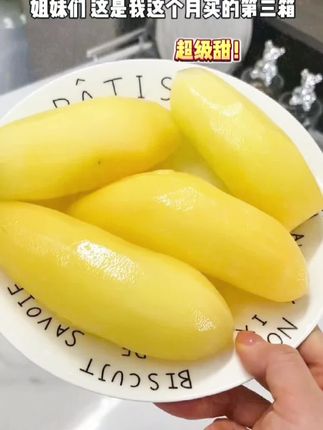 便宜好吃的天山雪莲果来啦!#大自然的馈赠 #大自然的礼物 #口感好 #快来一起尝个鲜 #快来一起尝