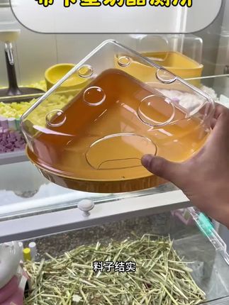 #仓鼠厕所 #仓鼠浴室 #仓鼠用品 #新手养鼠指南 #仓鼠