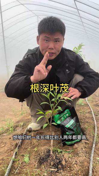 桃树如何长的快,浇水施肥非常重要#来抖音学农技 #抖音新农人 #新农人计划2026 #幸福乡村春耕季