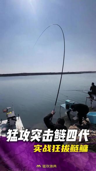 猛攻突击鲢四代 实战狂拔鲢鳙 #猛攻突击鲢四代 #突击鲢4代 #钓鲢鳙就用突击鲢