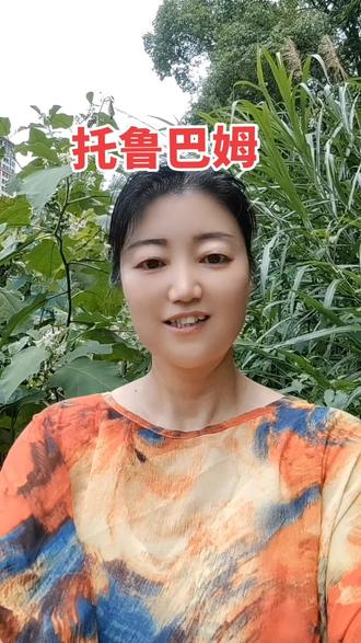 #中医养生 #唐唐姐药食园#药食同源 #托鲁巴姆砧木 #野茄子 托鲁巴姆四大功效:
抗病抗虫,根系发达,
嫁接亲和,高产稳产!
专治茄果类重茬死棵,
老菜园种植必备砧木!