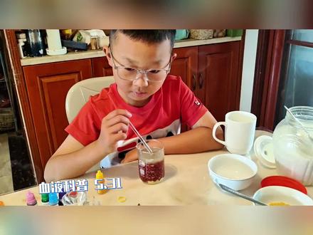 血液科普收官!血浆+红/白/血小板全部就位,日常食材零危险,直观看懂血液四大组成,附孩子实验观察记录。##人体科普 #血液模型实验 #亲子手工