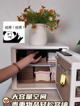 颜值与实力并存!这款轻奢保险箱,摆哪都好看~ #居家好物 #生活小帮手 #虎牌保险柜