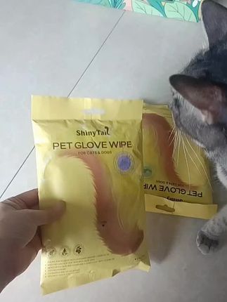 闪闪尾巴宠物免洗澡手套湿巾猫狗通用温和洁净去污柔顺毛发#家有萌宠 #记录猫咪日常 #养猫新手 #闪闪尾巴 #宠物免洗手套