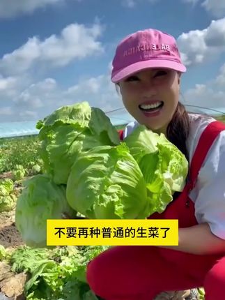 脆嫩好吃的#结球生菜 推荐你也种一些