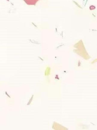 不锈钢刷钢丝刷子家用大号地板青苔清洁刷长柄地刷工业刷