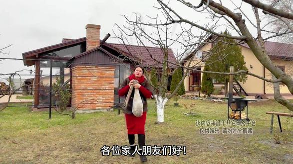 鸵鸟腿的狂野逆袭!巨型烤炉全记录 当非洲猛禽遇上北欧烟熏术 各位家人朋友们好!今天为大家呈上一段满溢温馨氛围的视频,其中藏着令人叫绝的乡村特色菜谱!我们寻得一只硕大无比的鸵鸟腿,直接将其整个置于燃木烤炉中。熊熊燃烧的木火,映照着炉内的鸵鸟腿,随着时间流逝,烤炉中渐渐飘出阵阵诱人香气。在这一视频里,您不仅能看到户外烹饪时那暖人心扉的瞬间,闻到烟雾中夹杂的食物焦香,更能深切感受到乡村生活中那份淳朴真挚的精神。相信这道独特的烤鸵鸟腿,定会让您垂涎三尺!祝大家好胃口,期待与您在下个视频中重逢!#100个关于她的故事 #记录好好的自己 #百young非遗计划 #新农人计划2025