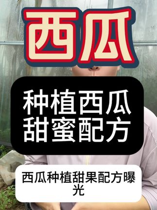 种植西瓜这个甜蜜配方红瓤起沙#三农 #三农流量扶持计划 #西瓜种植