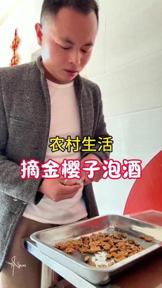金樱子泡酒,要不要去籽?农村生活,摘金樱子泡酒。#真实生活分享计划 #农村生活 #摘金樱子 #金樱子泡酒方法 #乡村守护人