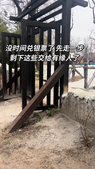 想要银票的朋友看过来,交给你们了。#万岁山武侠城
