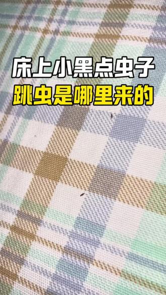床上小黑点虫子,跳虫是哪里来的。 卧室床上密密麻麻小黑虫,一碰就疯狂乱跳,这个就是跳虫,也叫烟灰虫。很多人不知道它们到底是从哪长出来的,今天一次性给你讲清楚。跳虫最喜欢潮湿阴暗的环境,床垫潮湿发霉、床底不通风,就会大量滋生。卫生间潮气太重、墙角发霉发霉,也会源源不断爬进卧室,爬到床上安家繁殖。千万不要小看这种小虫,繁殖速度特别快,刚开始只有一点点,几天时间就密密麻麻到处都是。只要人躺在床上休息,它们就会成群往人身上跳,贴身接触皮肤,很容易引起皮肤瘙痒、红肿过敏,还携带大量细菌霉菌,长期接触严重影响皮肤健康和睡眠质量。家里发现一定要及时消灭,首先要做好除湿通风,再用专用杀虫药剂喷洒床缝、墙角、床板,喷洒以后就能形成长效隐形药膜,虫子接触触碰到就能被消灭。
#跳虫 #烟灰虫 #跳虫杀虫剂 #家里小虫子像黑芝麻怎么消灭 #跳虫消杀