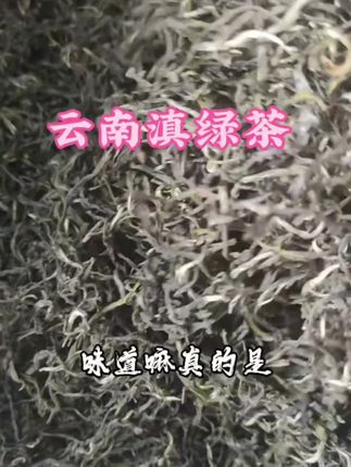 【张哥推荐】2025云南老派经典绿茶【滇绿】头春绿茶#绿茶 #滇绿茶 #云南绿茶 #头春绿茶 #好茶 @DOU+好生意 @DOU+小助手