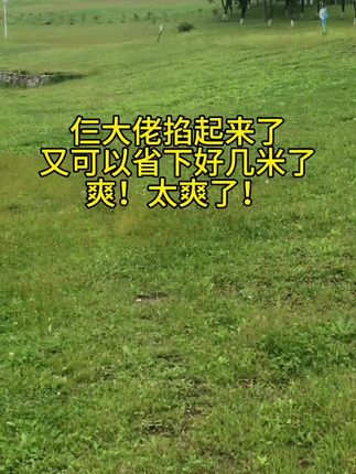 #大自然的美无处不在