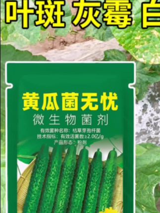 黄瓜专用药,黄瓜病菌清。