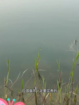 野营者推出的性价比超高的一款加厚强磁一线分钩拉饵盘。#拉饵盘 #钓鱼 #渔具用品