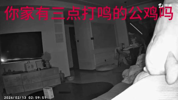 你家有凌晨三点打鸣的公鸡吗#边牧
