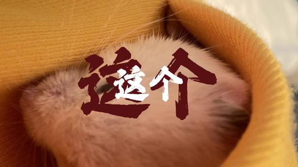 #宠物兔 这个点还没睡呢
你一句你好
他一句你好
聊天搭子不就来了吗
熬夜不都有伴了吗3/1