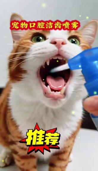 谁会想到平时就用这个喷雾在它嘴里喷一喷,小嘴巴香香的!里面有益生菌,能清洁嘴巴,去除异味。家里的宠物都能用,快去左下角看看吧!#口气清新#养猫新手 #好物推荐🔥