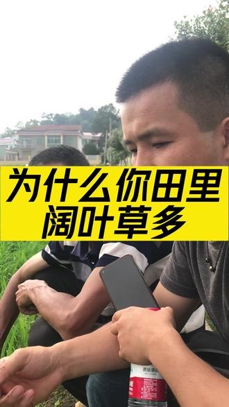 封闭打得好,苗后不除草!#封闭除草 #水稻种植 #春耕进行时