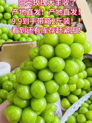 #优质农产品 #阳光玫瑰 #口感特别好 #当季水果 #葡萄